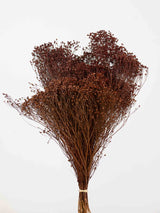 MIRTA » Mazzo di Broom Bloom marrone - Bloomoon
