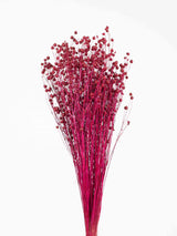 NOEMI » Mazzo di Lino bordeaux - Bloomoon