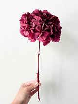 NORA » Ortensia stabilizzata extra fucsia - Bloomoon