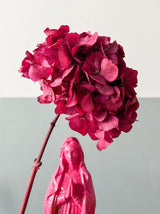 NORA » Ortensia stabilizzata extra fucsia - Bloomoon
