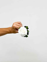 ROSA » Stelo di Rosa bianca 50cm - Bloomoon