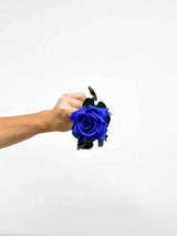 ROSA » Stelo di Rosa blu 50cm - Bloomoon