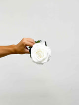 ROSALBA » Stelo di Rosa bianca 50cm premium - Bloomoon