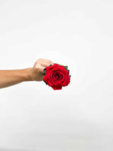 ROSALBA » Stelo di Rosa rossa 50cm premium - Bloomoon