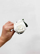 ROSITA » Stelo di Rosa bianco 25cm - Bloomoon
