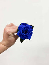 ROSITA » Stelo di Rosa blu 25cm - Bloomoon