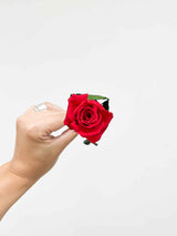 ROSITA » Stelo di Rosa rosso 25cm - Bloomoon
