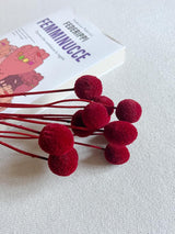 RUDOLPH » Mazzo di Craspedia rosso 10 steli - Bloomoon