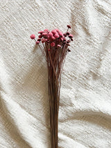 ADELE » Mazzo per bouquet di fiori secchi rosa antico - Bloomoon