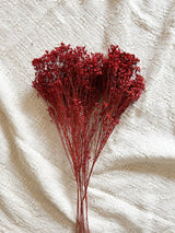 ADELE » Mazzo per bouquet di fiori secchi rosa antico - Bloomoon
