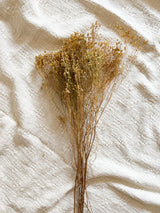 AIDA » Mazzo per bouquet di fiori secchi misti naturali - Bloomoon