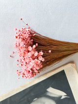 ALEXA » Mazzo di fiori di Glixia rosa - Bloomoon