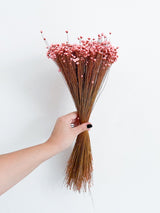 ALEXA » Mazzo di fiori di Glixia rosa - Bloomoon