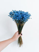 ANGELICA » Mazzo di fiori di Glixia celeste - Bloomoon