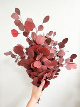 BARBARA » Mazzo di Eucalipto Populus stabilizzato rosso - Bloomoon