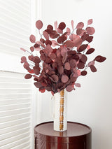 BARBARA » Mazzo di Eucalipto Populus stabilizzato rosso - Bloomoon