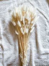 BRUNO » Mazzo di Lagurus bianco - Bloomoon