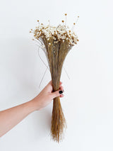 ILARIA » Mazzo di fiori di Glixia naturale - Bloomoon