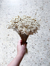 ILARIA » Mazzo di fiori di Glixia naturale - Bloomoon