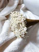 ILARIA » Mazzo di fiori di Glixia naturale - Bloomoon