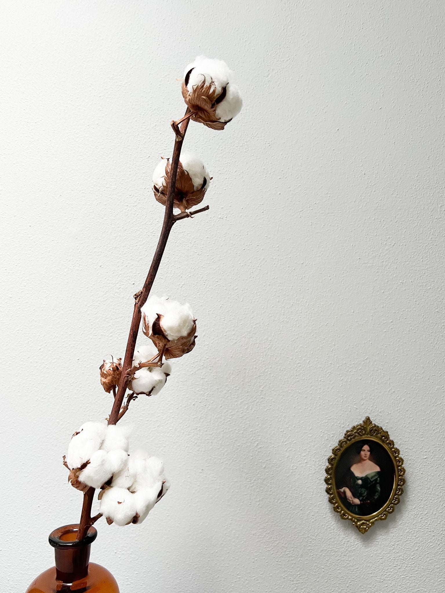 🎁 🌟 OMAGGIO COTONE 🌟