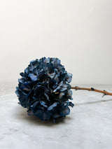 MIRKO » Extra Blue Preserved Hydrangea