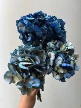 LEONARDA » 3 Dried Hydrangeas in Blue Shades