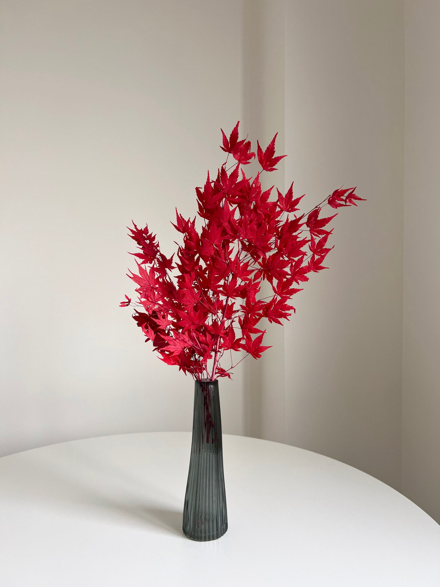 ACEA » foglie di acero stabilizzato rosso