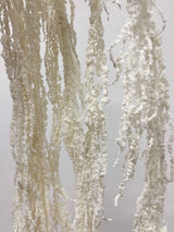 ADELMO » Preserved white drooping Amaranthus
