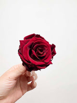 ROMEO » Box of 6 red Rose standard flowers - 6,5cm diameter