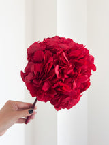 AGOSTINA » Red preserved Hydrangea
