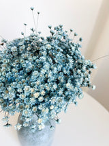 ANGELICA » Mazzo di fiori di Glixia celeste