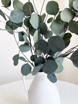 ANTONELLA » Mazzo di Eucalipto Populus stabilizzato verde