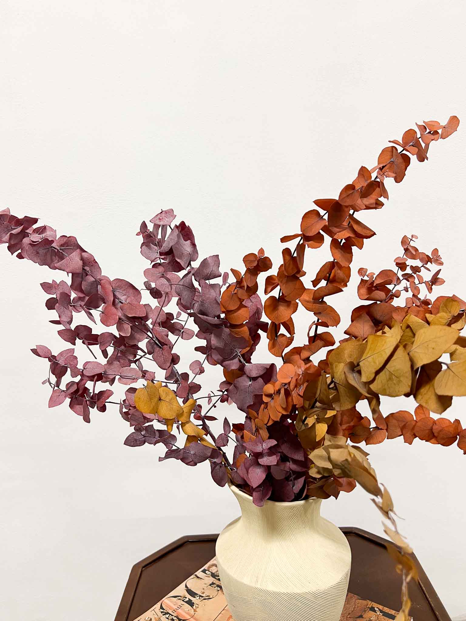 ZARA » Mazzo di Eucalipto Stuartiana stabilizzato dai colori autunnali