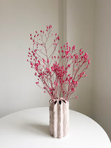 BEBE » Mazzo di erba Argentina fucsia