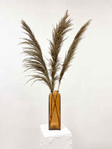 SERGIO » Mazzo di Pampas slim naturale color tortora 120 cm