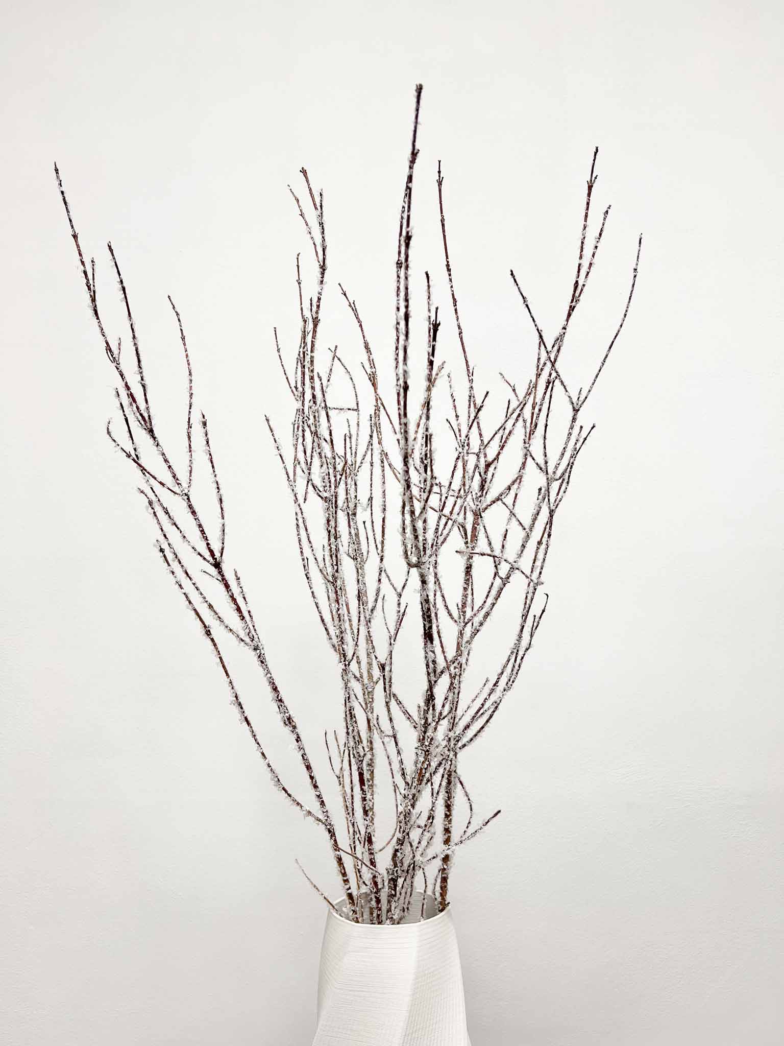 KRISTALL » Mazzo di Betulla ghiacciata da 5 steli 120cm