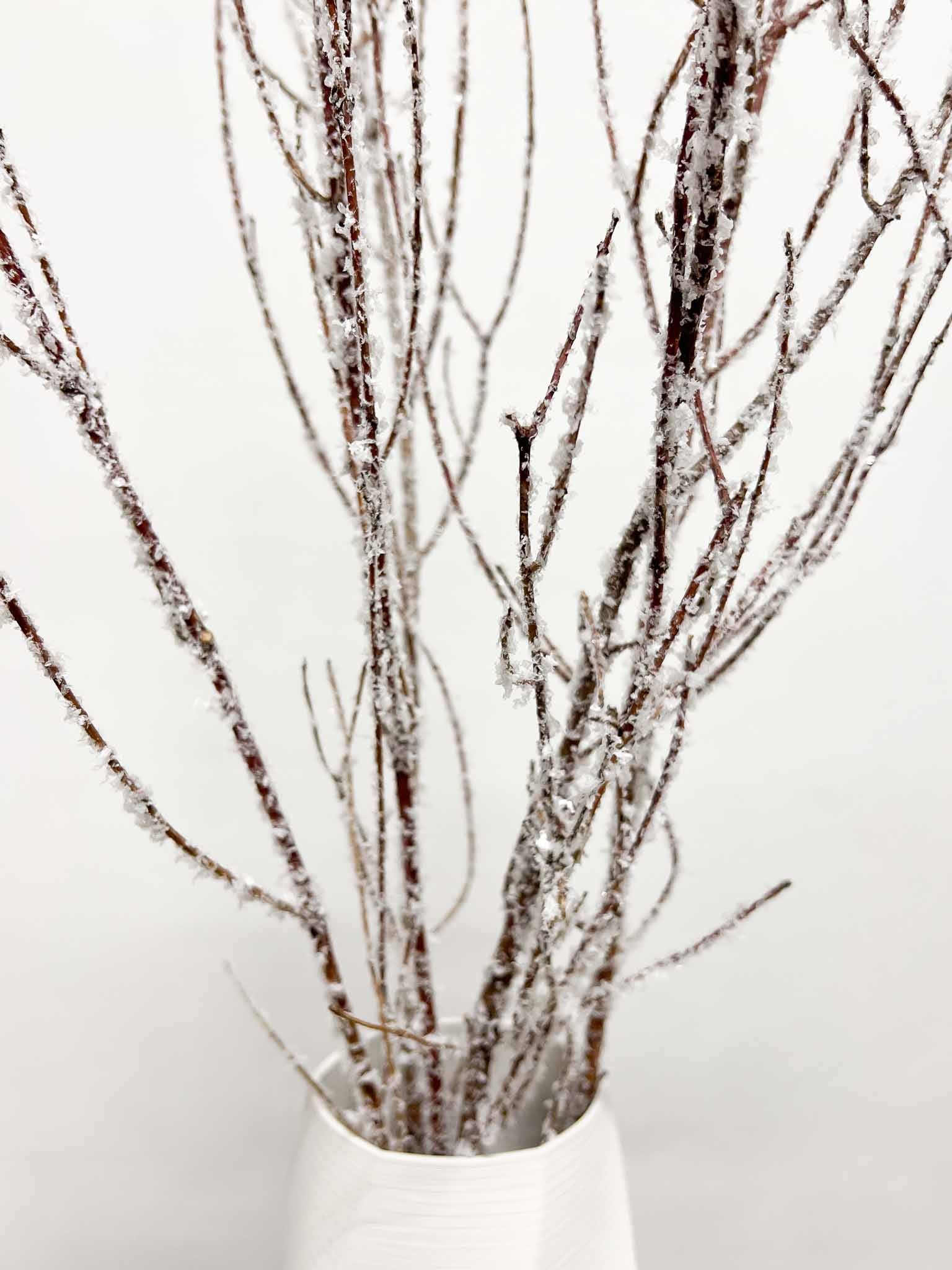 KRISTALL » Mazzo di Betulla ghiacciata da 5 steli 120cm