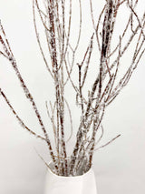 KRISTALL » Mazzo di Betulla ghiacciata da 5 steli 120cm