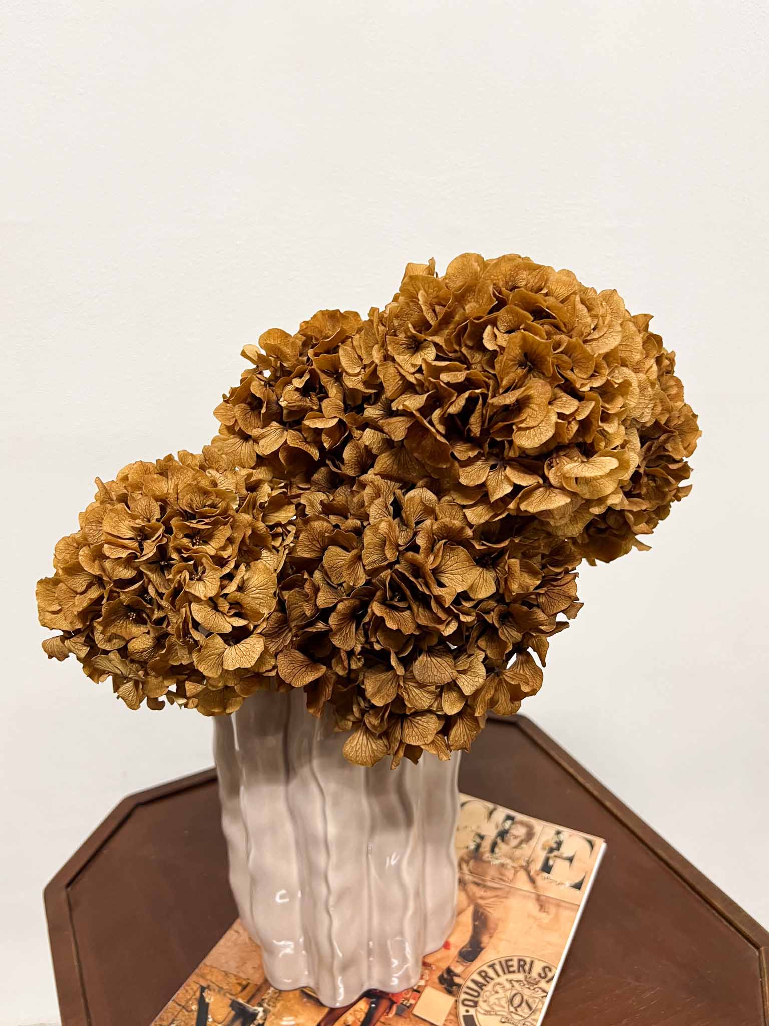 AMBRA » 5 ortensie stabilizzate marrone chiaro