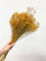 ELOWEN » Mazzo di Broom Bloom giallo senape