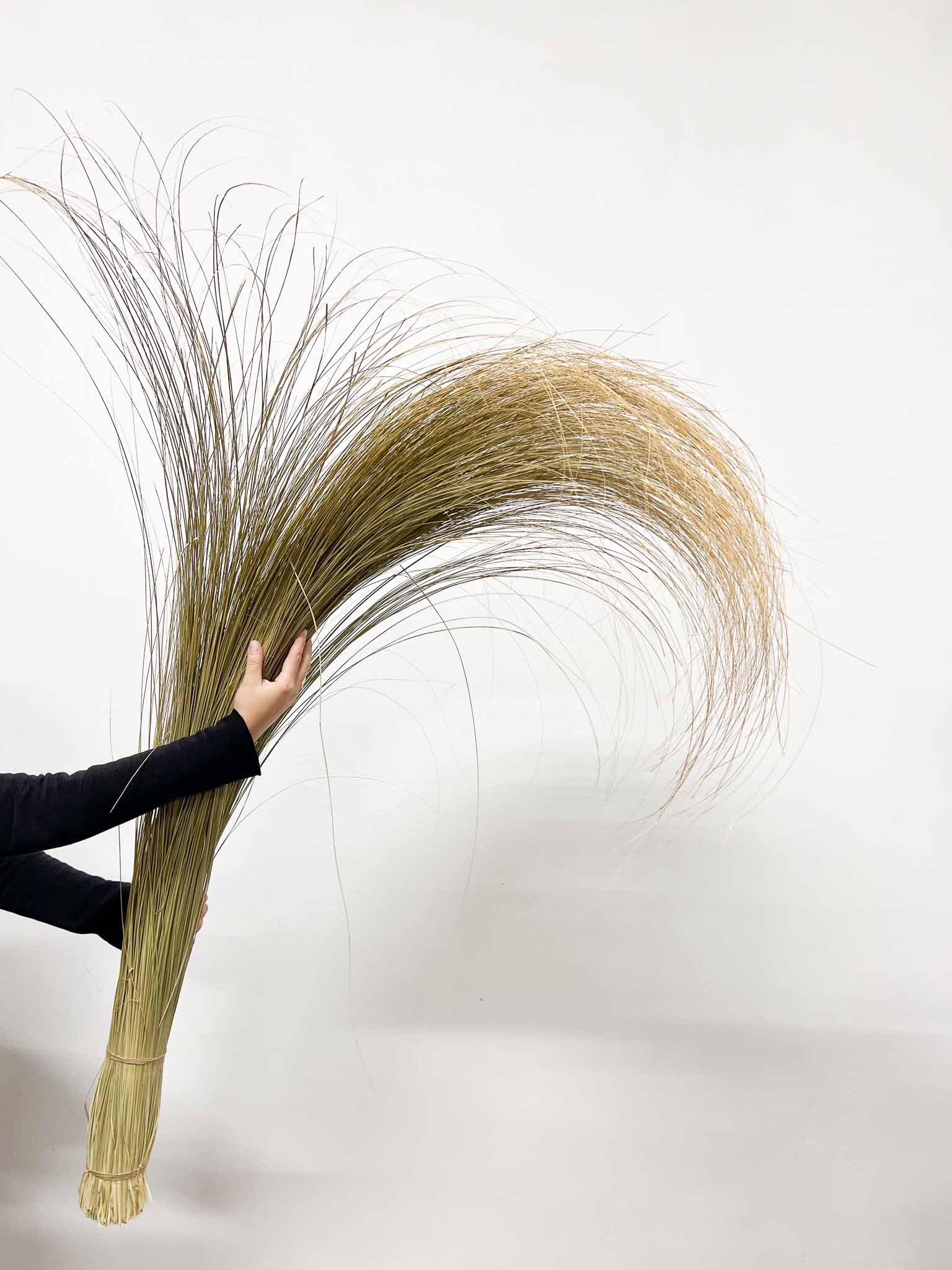 OLENA » Large dried Salicchio bouquet