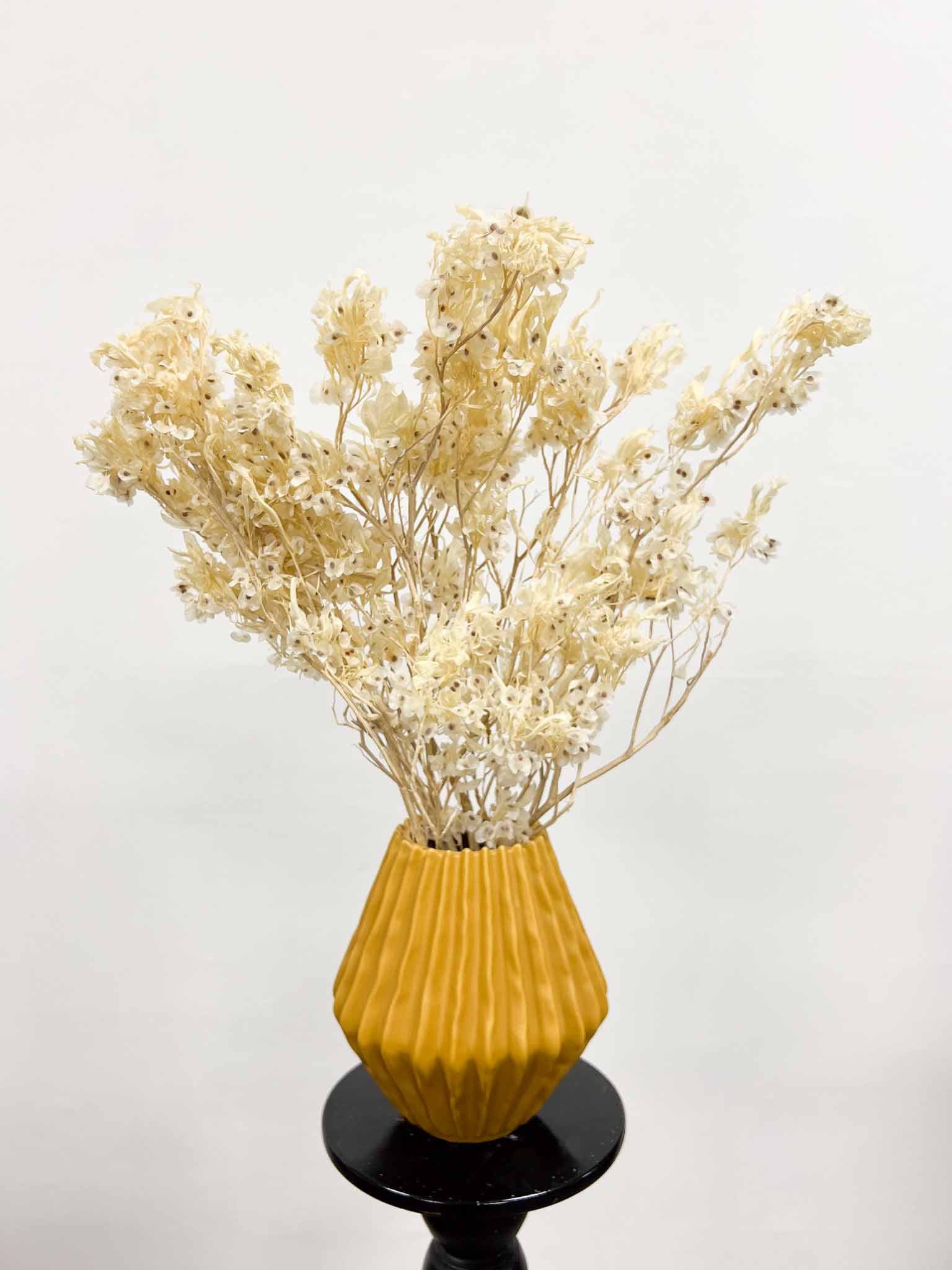 FILIPPO » White preserved bouquet of Dudy flowers