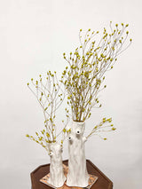 ELISA » Green Argentine