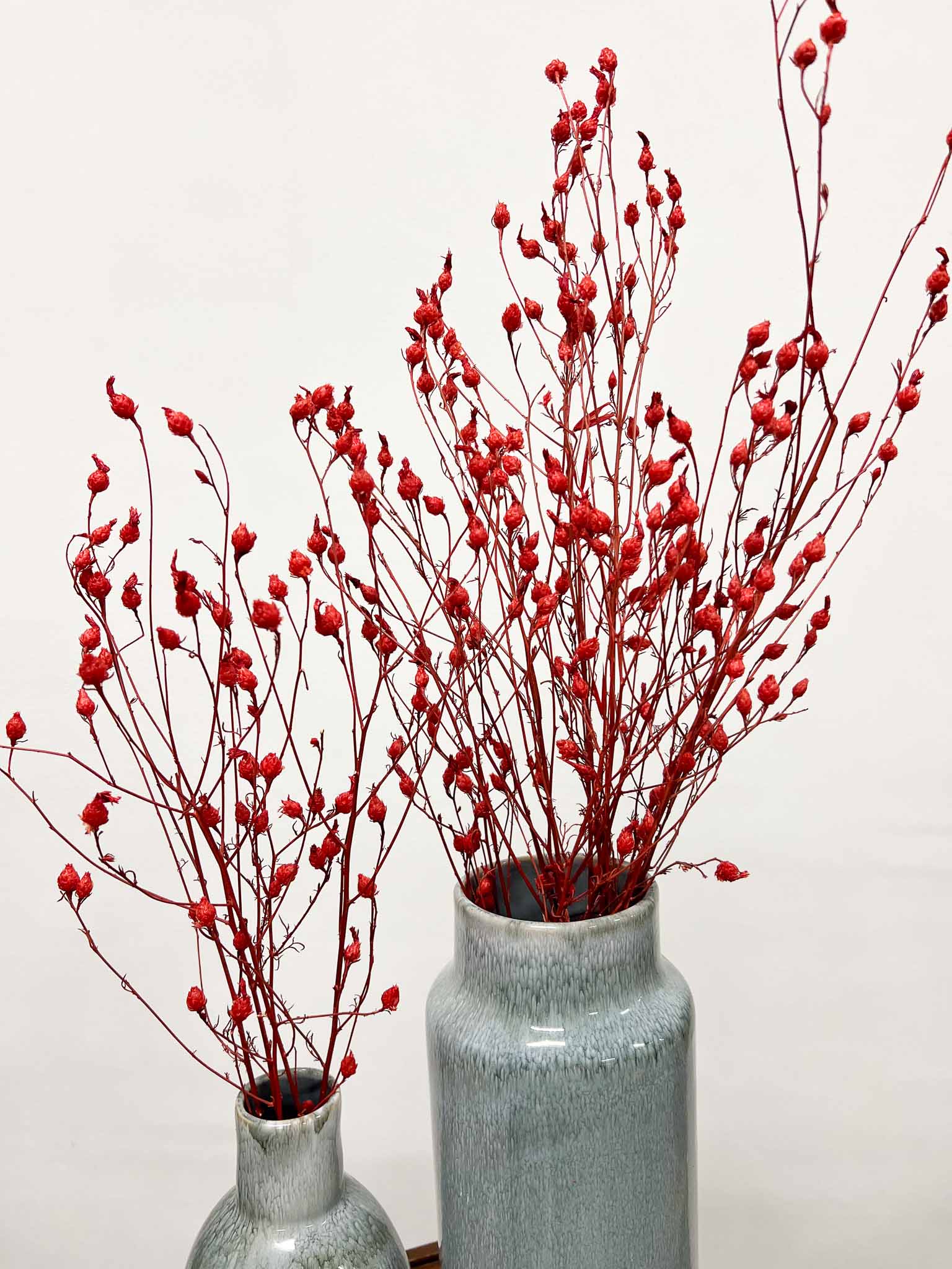 LEONARDO » Red Argentine