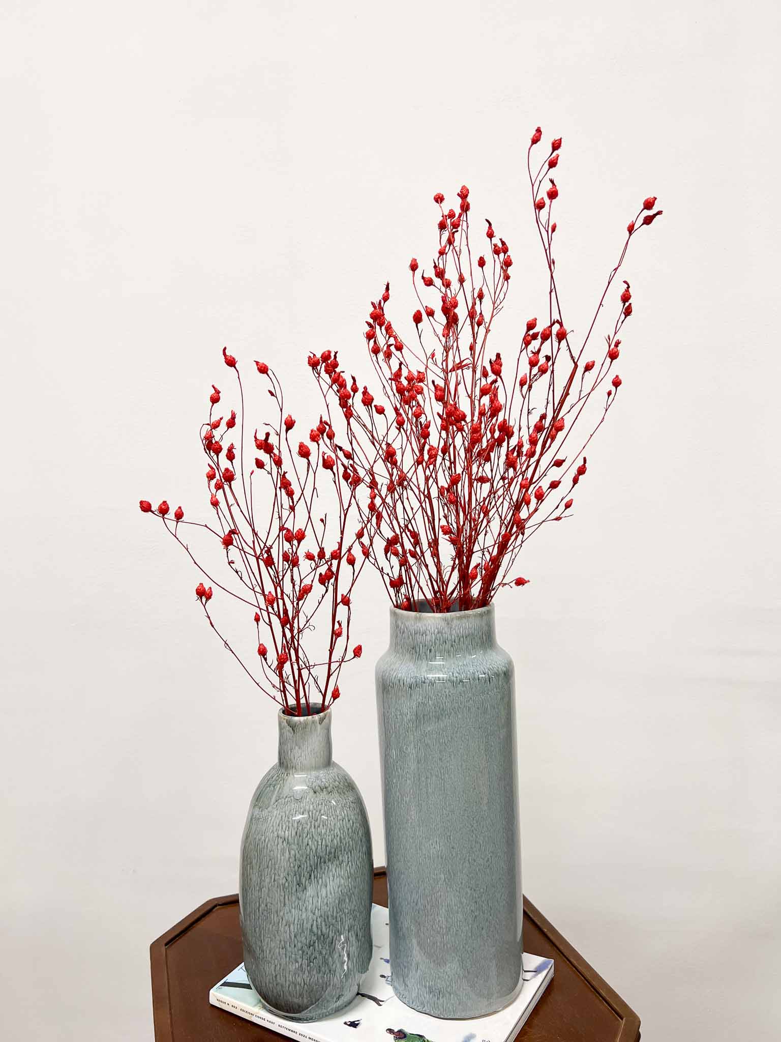 LEONARDO » Red Argentine