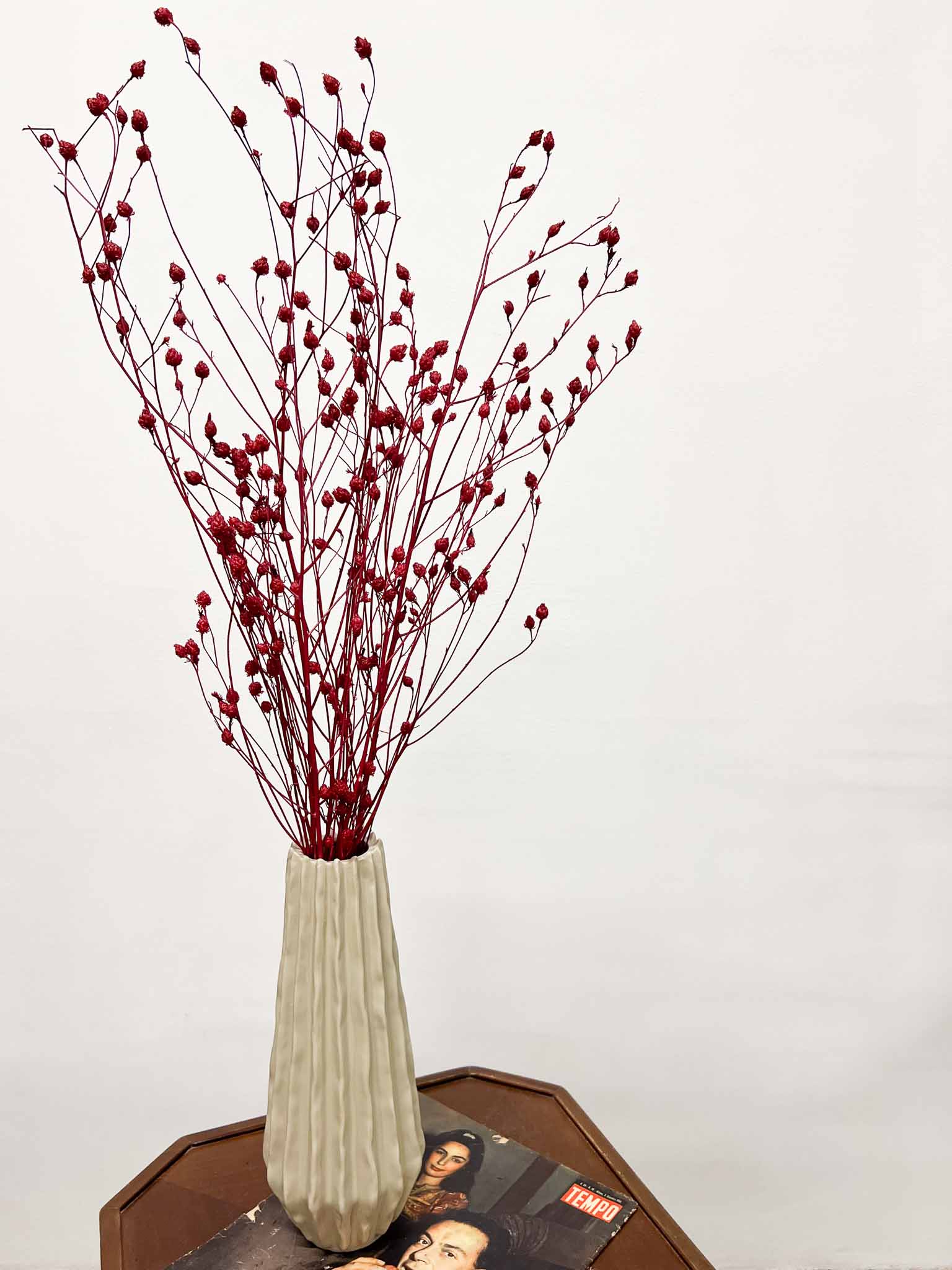 LEO » Burgundy Argentine