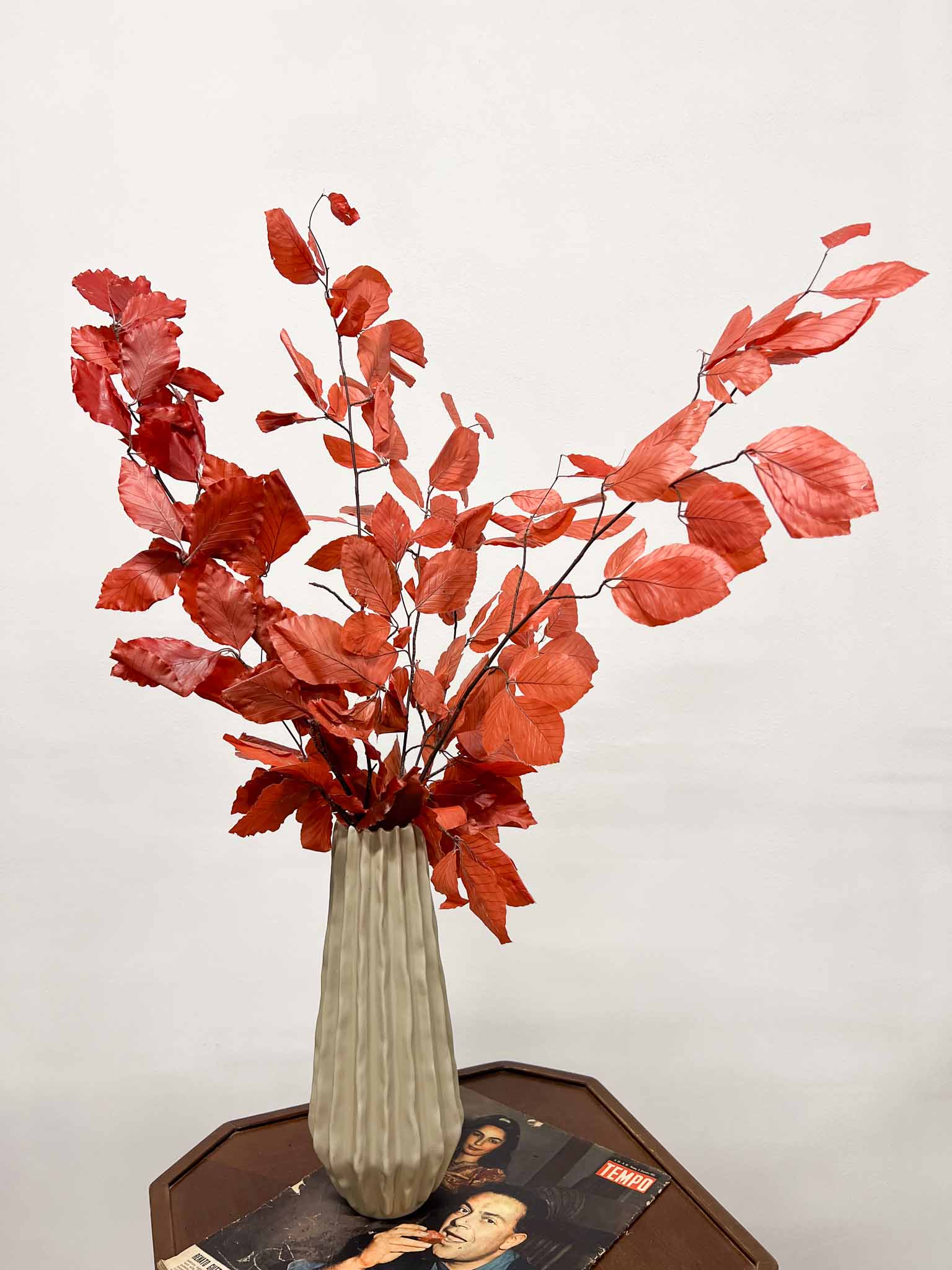 FAYA » Mazzo di Faggio stabilizzato