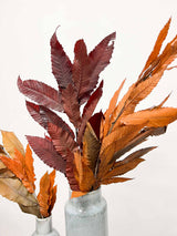 CARLETTO » Mazzo di Castagno stabilizzato dai colori autunnali