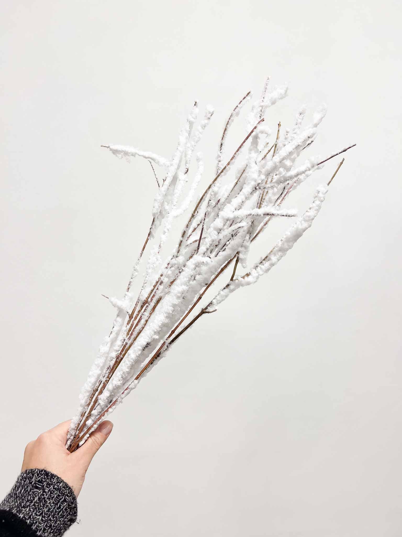 GERMANOTTA » Mazzo di Faggio floccato bianco 10 steli